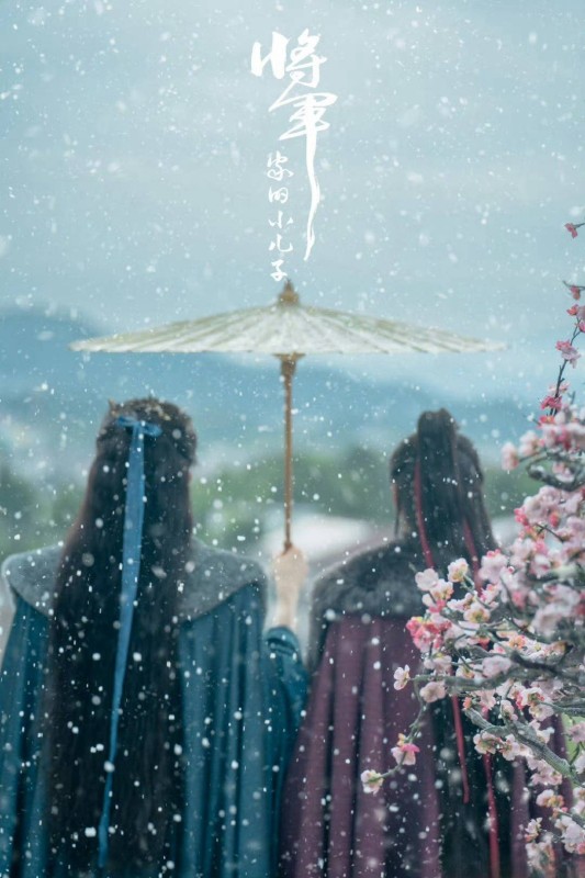 Xem phim Con Trai Út Nhà Tướng Quân