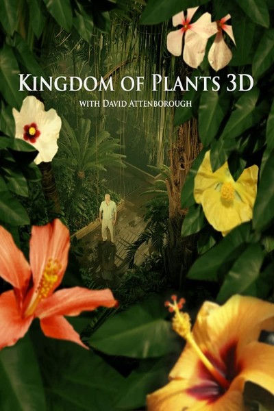 Xem phim Kingdom of Plants