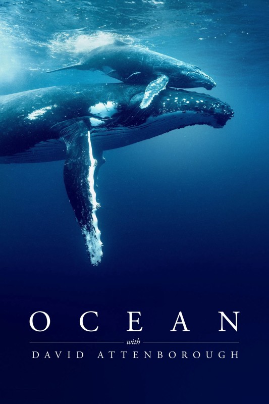 Xem phim Ocean with David Attenborough
