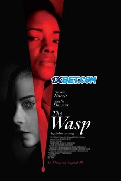 Xem phim The Wasp