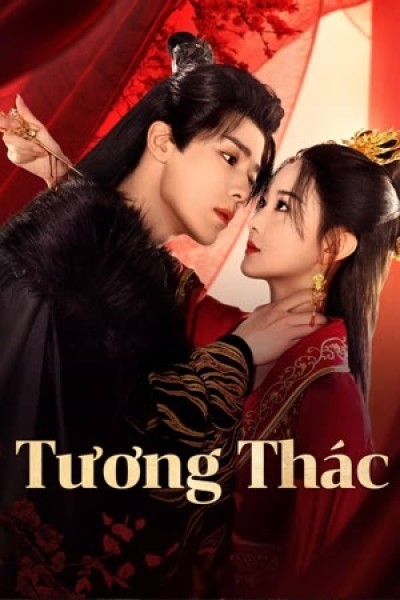 Xem phim Tương Thác